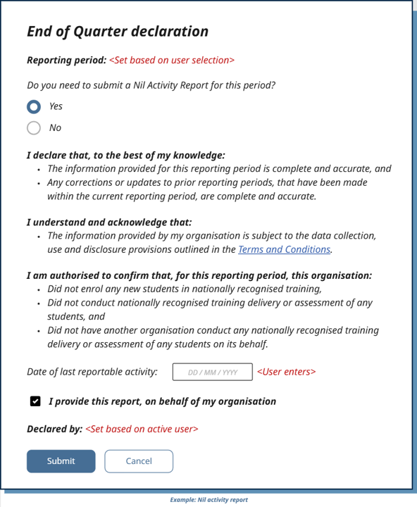 Nil activity report declaration example user interface